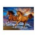 Trademark Fine Art Howard Robinson 'Two Brown Horses' Canvas Art, 18x24 ALI23956-C1824GG